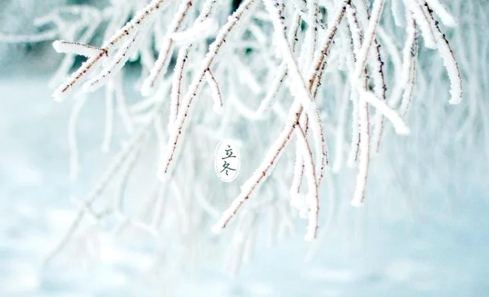 生活向阳的30条励志短句：心怀热爱，不负时光